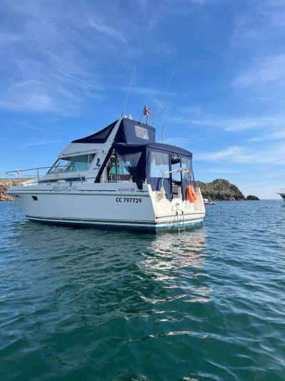 Bateau moteur Beneteau Antares 9.20 1991 exterieur 3