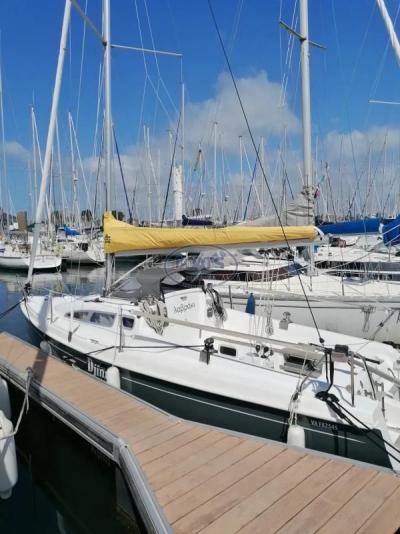 Voilier B2 Marine DJINN 7 2018 exterieur 7